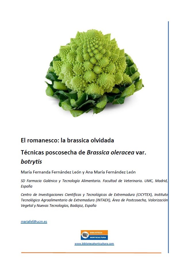 El romanesco: la brassica olvidada